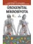 Ürogenital Mikrobiyota 1