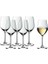 6'lı Beyaz Şarap Kadehi 2