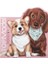 Doggy Boyama Kitabı Doggy 1