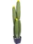 Yapay Kaktüs Saksılı Sarı Çiçekli 103 Cm. 2