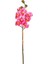 Yapay Orkide Gerçek Dokulu Pembe 75 Cm. 3