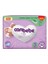 Canbebe Baby Diapers Bebek Bezi, Pfxf 3 Star Midi 30 1