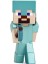 253260003 Jada Minecraft Figures 2 5 2
