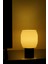 Pure - Modern Masa ve Gece Lambası – Ambiyans Lambası, Dekoratif LED Abajur, E14 Duy 1