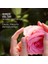 Herbal Essences Kadifemsi Yumuşaklık Gül Kokulu Şampuan 350ML 1