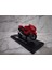 Kawasaki Ninja ZX-14R Model Motosiklet 1/18 Kırmızı 3
