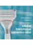 Gillette Venus Bikini Bölgesine Özel 3 Adet Yedek Başlık 1