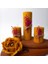 Mum Dekoratif Hediye Kutusu 4 Lü Set Petek Beeswax Candle Açmış Gül (Kırmızı Süslemeli Açmiş Gül) 2