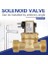 Elektrikli Solenoid Valf G3/4 2 Yollu Su Girişi N/c Normal Kapalı Elektrikli Solenoid Valf Ac 220/240V FCD-180B 4