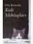 Kedi Mektupları 1