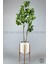 Yapay Manolya Ağacı 175CM 1