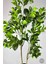 Yapay Manolya Ağacı 175CM 7