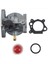Briggs & Stratton Motoru Için Karbüratörlü Biçme Makinesi 799868 498254 497347 (Yurt Dışından) 2