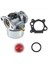 Briggs & Stratton Motoru Için Karbüratörlü Biçme Makinesi 799868 498254 497347 (Yurt Dışından) 3