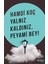 Yalnız Kaldınız, Peyami Bey! 1
