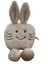 Sevimli Emoji Peluş Tavşan Yastık Uyku&oyun Arkadaşı Oyuncak 35 cm 1