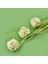 Deco Allium Dal Çiçek - Yeşil - 87 cm 3