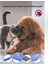 4’lü Kedi Köpek Bit Tarak Seti | Tüy Temizleme ve Kıtık Açma Bakım Seti 3