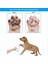 Pet Köpek Pençe Bakımı Set Silikon Fırça Hızlı Çamurlu Ayaklar Temizleme Taşınabilir Köpek Pençe Temizleyici Kupa Köpek Ürünleri (Yurt Dışından) 5