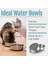 Paslanmaz Çelik Pet Bowl Köpek Kemik Evcil Pet Serpeği Sofra Takımları Slip Olmayan Kediler Kase Içme Su Köpek Havzası Köpek Kaseleri (M) (Yurt Dışından) 3