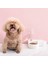 Köşe Köpek Kase Pet Otomatik Besleyici Köpek Içme Kasesi Köpek Suyu Içme Besleme Kapasitesi Dispenser Pet (Yurt Dışından) 4