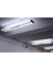 Master Tl-D 36W Snow Whıte Floresan Ampul 12000K 4