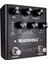 Blackhole Reverb Pedal 1