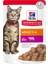 Hills Biftek Kedi Konservesi 12ADET Adult Yetişkin Kedi Yaş Maması Pouch 2