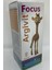 Argivit Focus Fosfotidilserin, L-Arjinin, Multivitamin ve Multimineral Içeren Şurup 150ML 103843 1