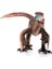 Utahraptor 4