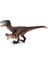 Utahraptor 5