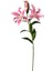 Yapay Çiçek Zambak Pembe-Beyaz 85 Cm. 1