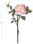 Yapay Gül Kurumuş Efektli Pembe 60 Cm. 2