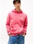 Kapüşon Yaka Pembe Erkek Sweatshırt DM0DM22085XI5 Tjm Reg Washed Crest 2