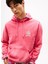 Kapüşon Yaka Pembe Erkek Sweatshırt DM0DM22085XI5 Tjm Reg Washed Crest 3