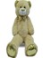 Peluş 50CM Uzun Parlak Ayı 4