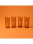 Nazenin 4'lü Meşrubat Bardağı Seti - Amber - 290 ml 2