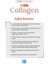 Tabvıtamıns All In Collagen 30 Servis Aromasız Hidrolize Kolajen Peptitleri Tip 1 Tip 2 Tip 3 Tip 5 Tip 10 Akasya Gamı Yumurta Kabuğu Zarı Bromelain Hyaluronik Asit Vitamin C Magnezyum 3