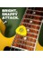 Dunlop Tortex Standart 1,0 mm Mavi Gitar Penaları-36 Paket (418B1.0) 3