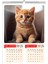 2026 Kedi Temalı Duvar Takvimi-A3 6 Sayfa Üstten Spiralli ve Askılı 5