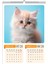 2026 Kedi Temalı A3 Duvar Takvimi-6 Sayfa Üstten Spiralli ve Askılı 3
