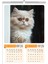 2026 Kedi Temalı A3 Duvar Takvimi-6 Sayfa Üstten Spiralli ve Askılı 5