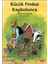 Küçük Findus Kaybolunca 1