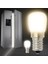 CT-4261G 2W Buzdolabı Ampulü E14 220V, Gün Işığı 1