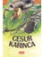 Cesur Karınca 1