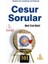Cesur Sorular 1