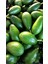 Avokado 6