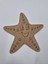 1 Adet Sevimli Deniz Yıldızı Ahşap Boyama Okul Dıy Etkinlik Aktivite Sanat 15 cm x 15 cm 1