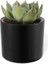 4 Adet Mimoza Saksı Küçük Boy Plastik Kaktüs Sukulent Saksısı (Siyah, 0.2 Litre) 4