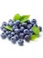 20 Adet Tohum Yaban Mersini Tohumu Blueberry Tohumu 2